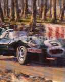 Jaguar at Le Mans